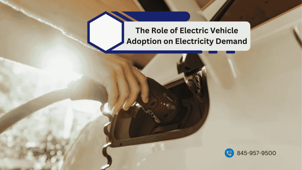 Electric Vehicle Adoption on Electricity Demand